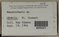 Image Associated With the Occurence